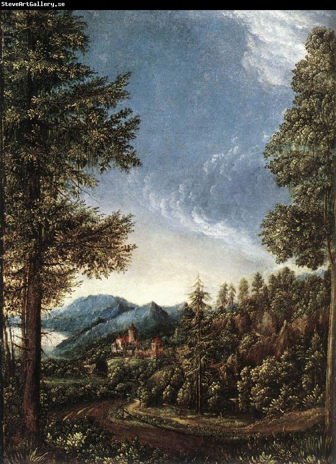 ALTDORFER, Albrecht Danubian Landscape g